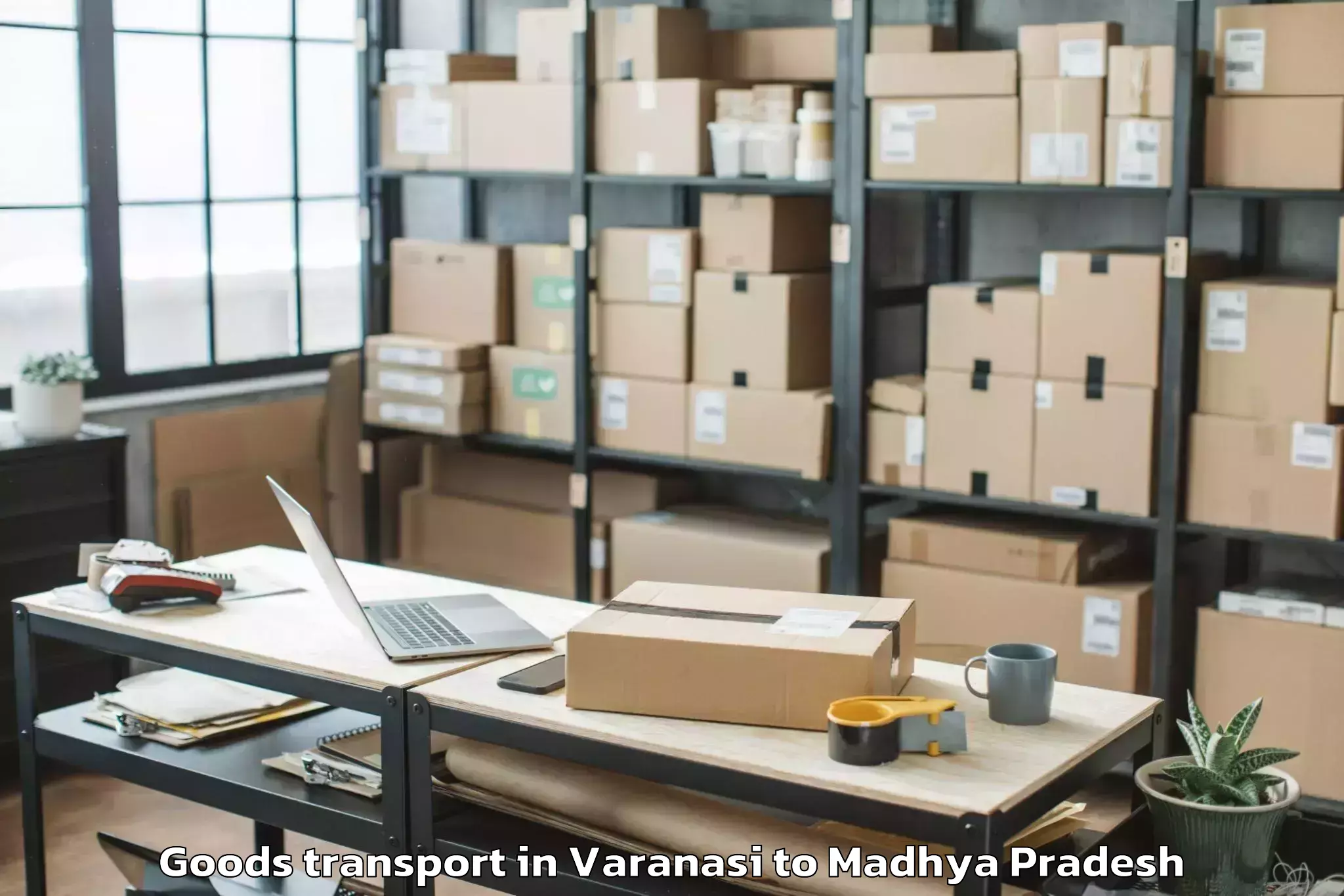 Quality Varanasi to Narwar Goods Transport